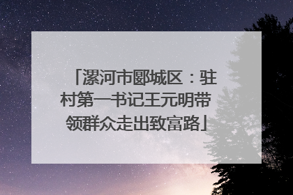 漯河市郾城区：驻村第一书记王元明带领群众走出致富路